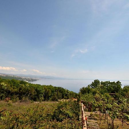 House Pobri Villa Opatija Exteriör bild